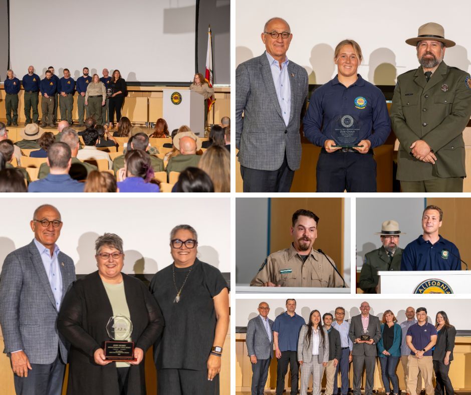 2025 Director's Recognition Award winners collage 2