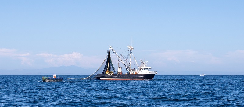 A commercial fishing vessel works offshore ocean waters.