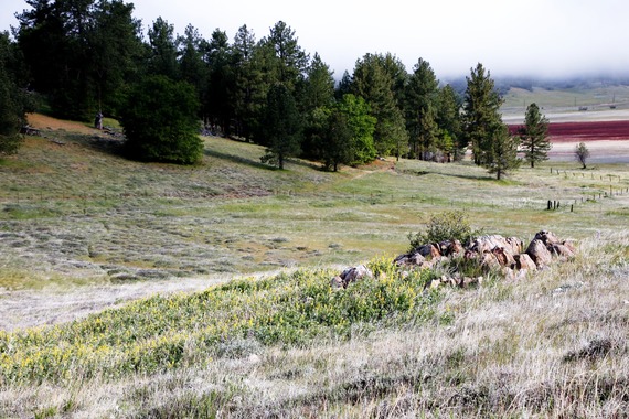 Cuyamaca Rancho SP Stonewall