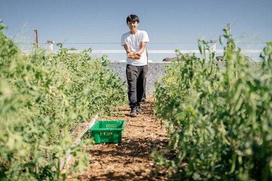 Child in a field holding freshly picked produce.