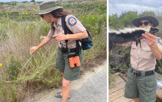 Crystal Cove SP_Winter Bonnin