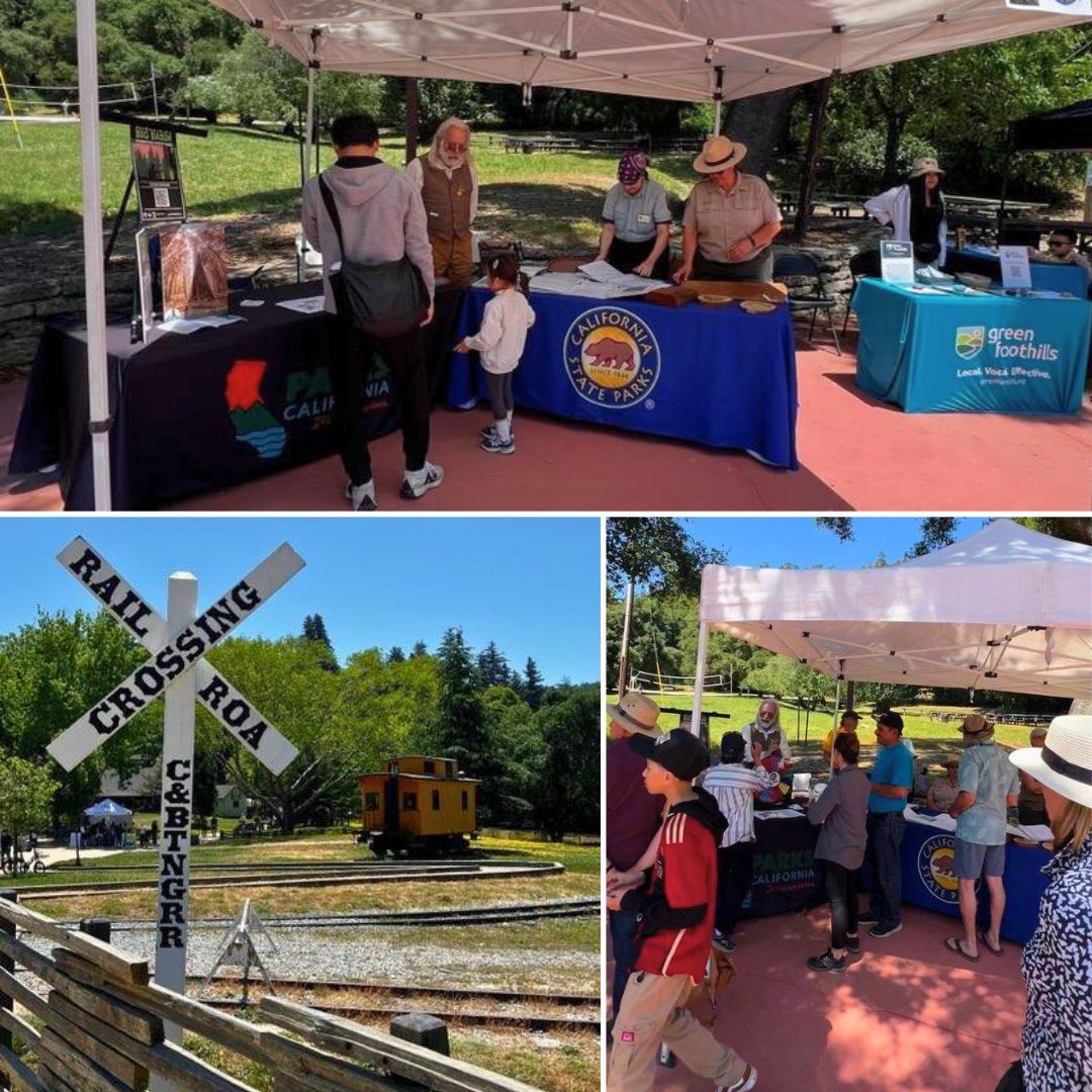 Redwoods Festival Collage