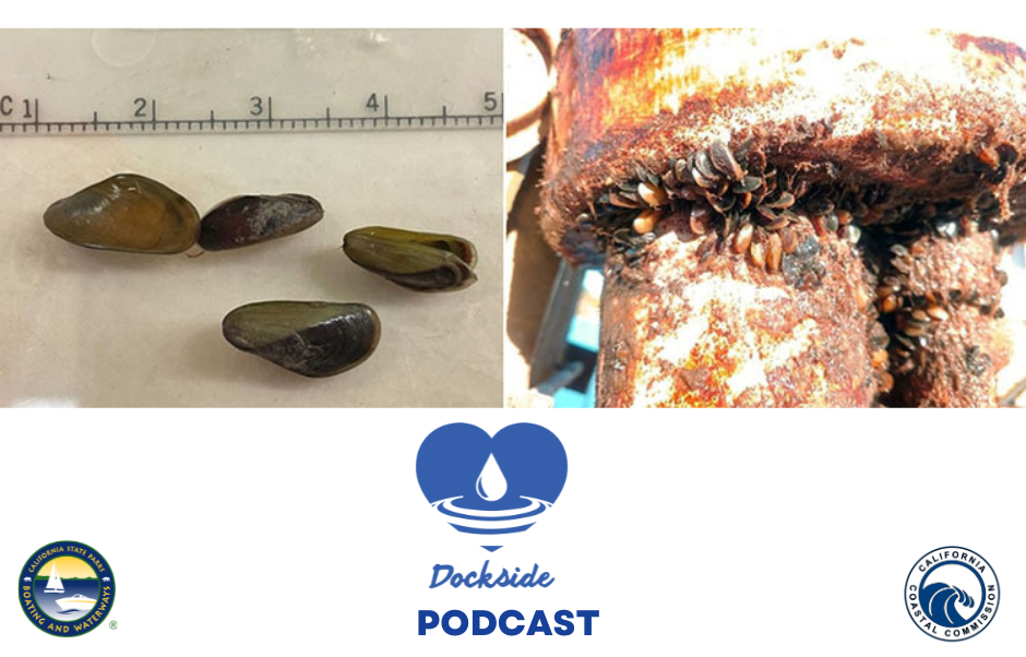 Golden Mussel Podcast Dockside State Parks