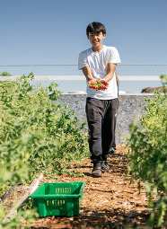 A boy standing between two garden rows holds greens plucked from the plants 