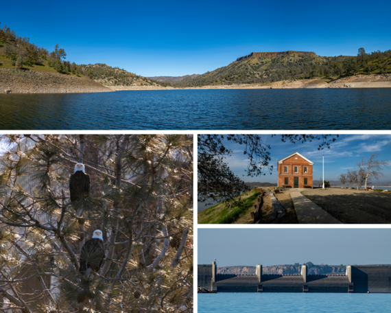 Millerton Lake SRA collage