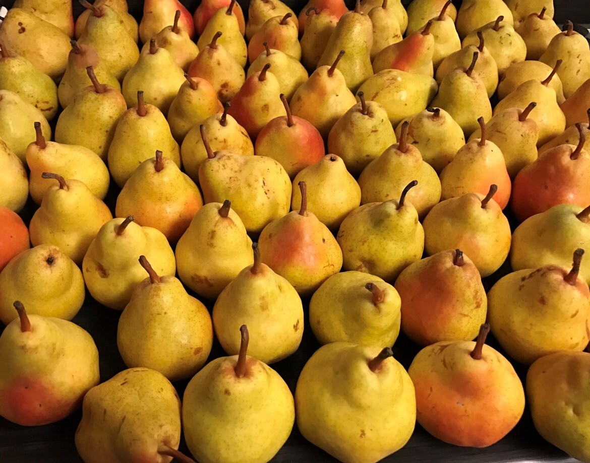 Bartlett Pears