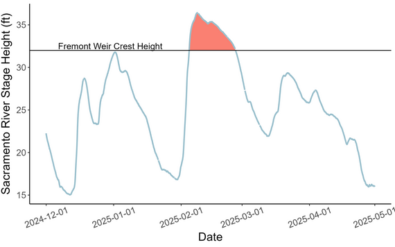 FRE Stage Graph