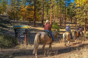 Horses on Trail SNC