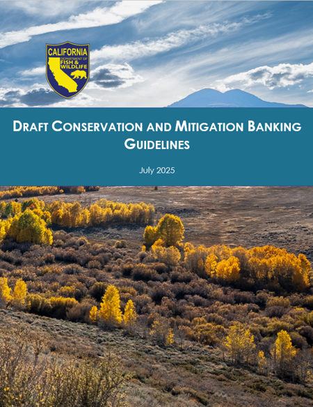 Draft Banking Guidelines Cover