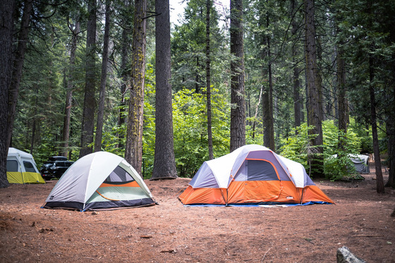 Calaveras Big Trees SP (camping tents)