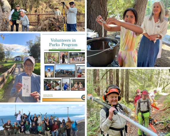 2024 VIPP Annual Report collage