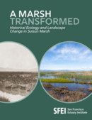 SFEI Suisun Marsh report