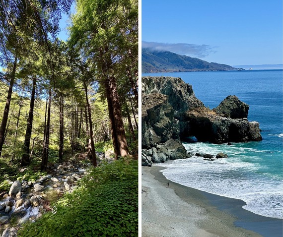 Redwoods Beach Limekiln State Park Creek