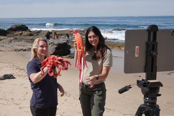 California Biodiversity Day  PORTS cast state parks Crystal Cove