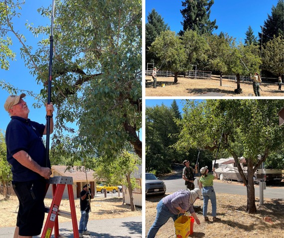 North Coast Redwoods District Staff and Volunteers Reduce Bear Risks in Humboldt Redwoods State Park