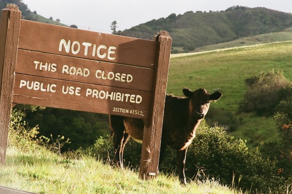 Hearst San Simeon State Historical Monument Cow Road Closed Sign