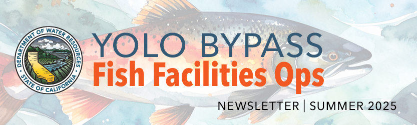 Yolo Bypass Fish Facilities Ops Newsletter Summer 2025 heading