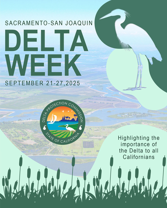 Delta Week flyer