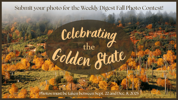 Fall Autumn Photo Contest Celebrating the Golden State 