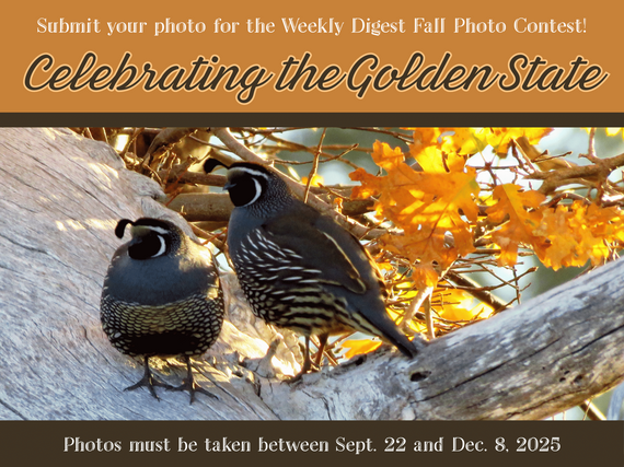 Autumn Fall Photo Contest Celebrating the Golden State 