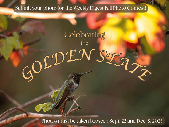 Autumn Fall Photo Contest Celebrating the Golden State