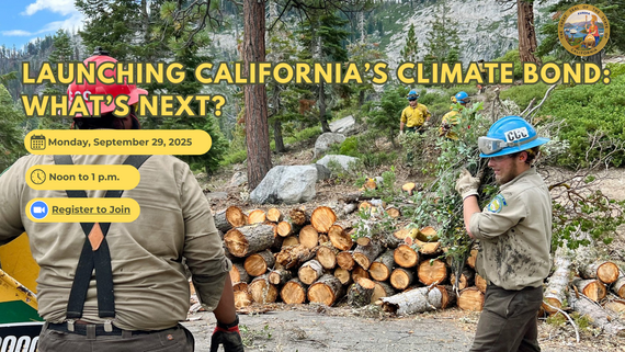 Graphic Promoting Climate Bond Webinar