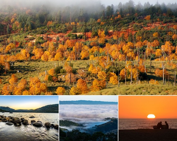 Fall state parks photo collage