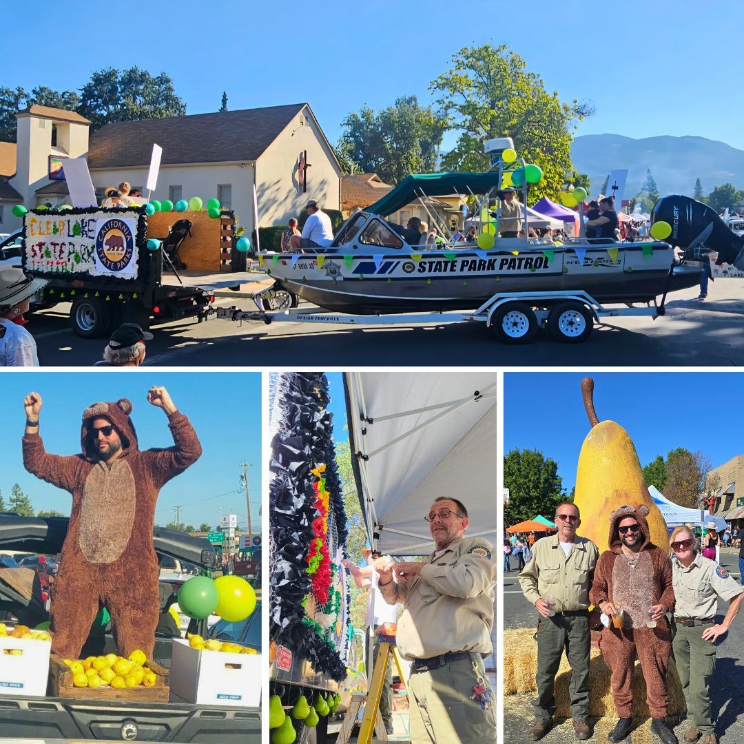 Clear Lake SP_collage