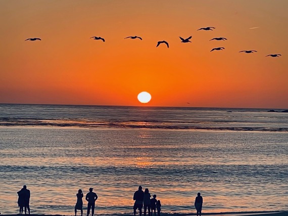 Carmel Bay State Marine Conservation Area Carmel Sunset Beach