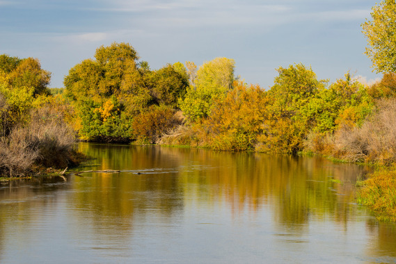 San Joaquin River lined with green trees