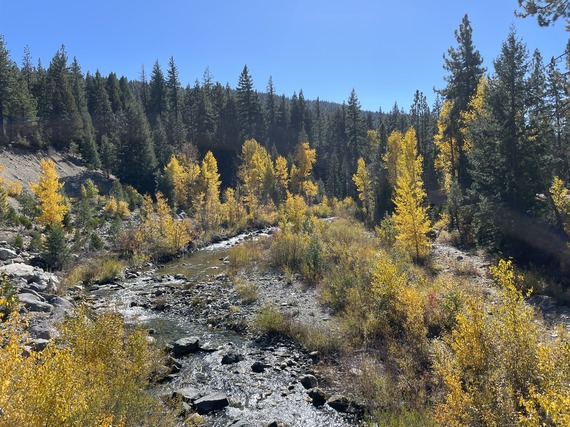 Plumas Eureka State Park  Fall foliage along Jamison Creek