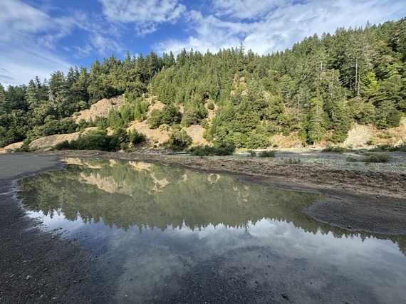 Richardson Grove
