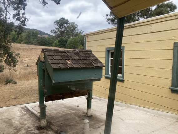 Olompali SHP bat house