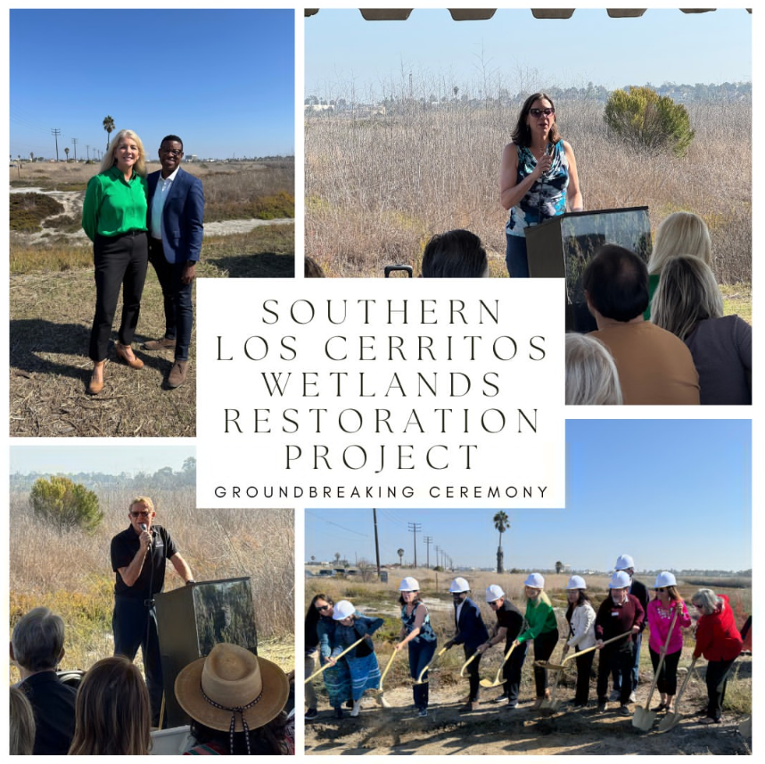 Groundbreaking Collage