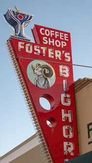 Foster's Bighorn