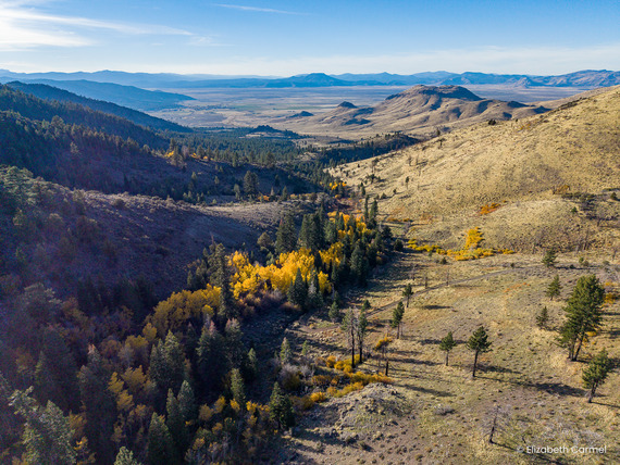 Loyalton Ranch, westside in distance