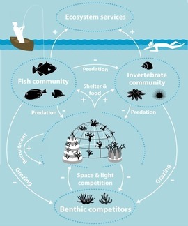 modKoesteretal2023small