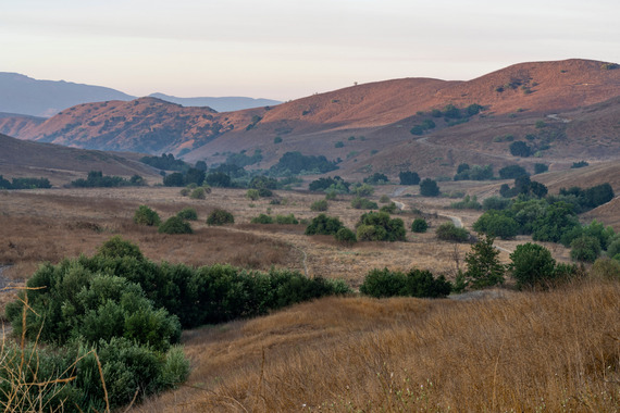 Chino Hills SP ridges