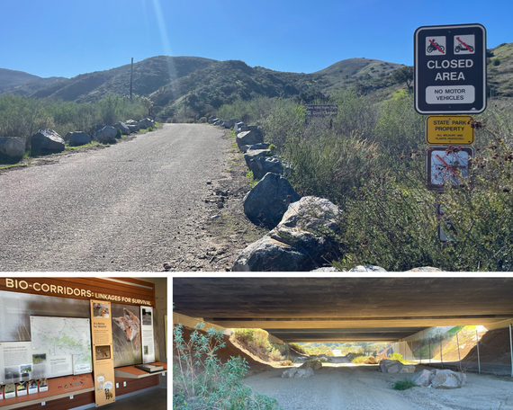 AoM_Chino Hills SP_Coal Canyon collage