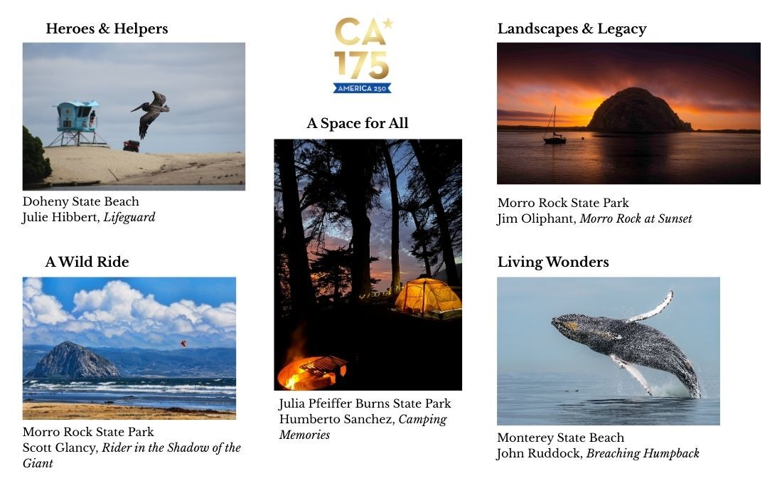 CA175 Photo Contest Winners collage