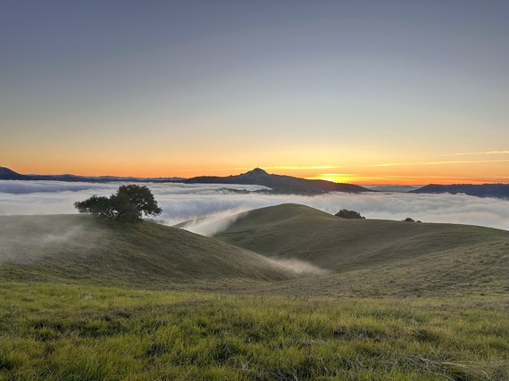 Central Valley Sunset Pacheco State Park Fog
