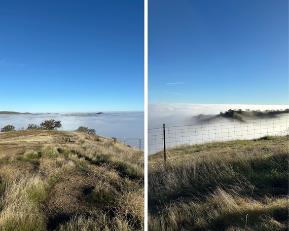 Carnegie State Vehicular Recreation Area Fog