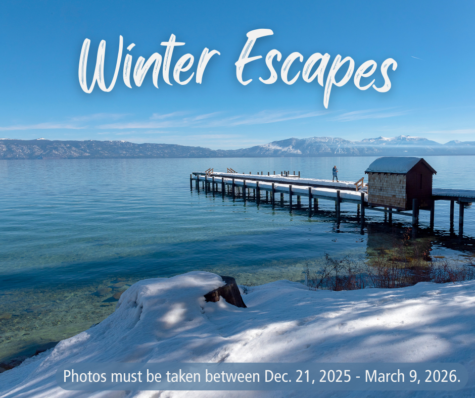 Winter Contest graphic 1