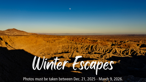 Winter Contest graphic 4