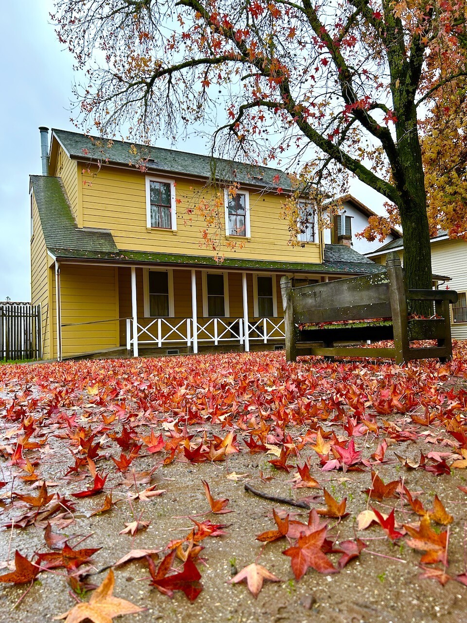 Sonoma State Historic Park  A winter solstice rainstorm knocked down the remaining autumn leaves in front of the historic Toscano Kitchen.