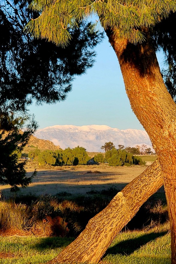 Lake Perris State Recreation Area Snow San Gregornio Mountains Trees