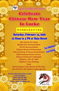 Chinese New Year poster