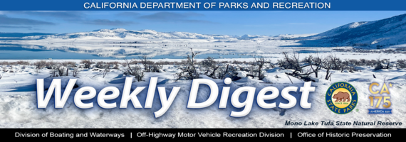 CA175 Logo Winter Masthead Weekly Digest