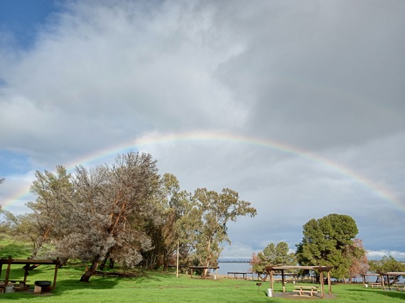 San Luis Reservoir State Recreation Area  Rainbow San Luis Creek Boat Ramp