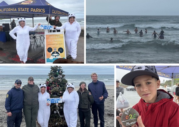 Cardiff State Beach First Day Polar Plunge